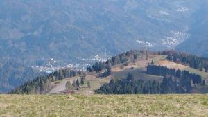 Foto St 5